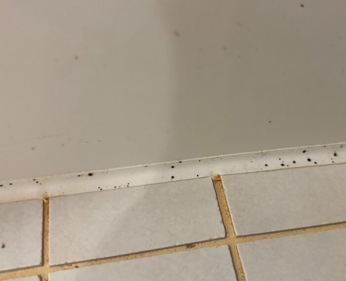 Silikonfog med svarta prickar, eventuellt svartmögel, på kakelvägg i dusch. Fogen är gammal och fläckarna verkar vara inne i silikonet.