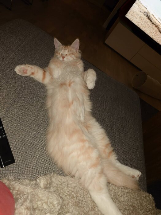 Sovande katt med röd- och vitmönstrad päls liggandes på en soffa.