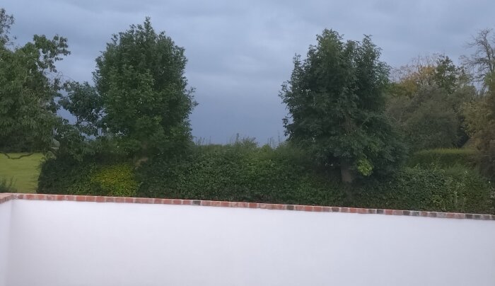 Tegelbeklädd mur framför lummig trädgårdsutsikt med gröna träd och buskar under mulen himmel.