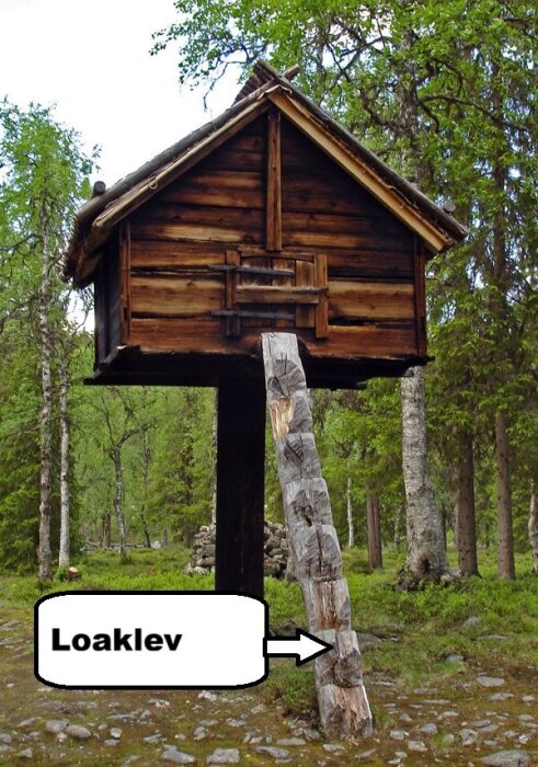 Njalla på en hög plintgrund i skogsmiljö med trästege, kallad loaklev, markerad på bilden.