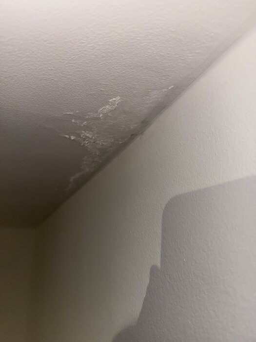 Fläckar på tak i källaren vid en hörna, möjligtvis orsakade av fuktproblem ovanifrån. Färgen verkar ha börjat smula.