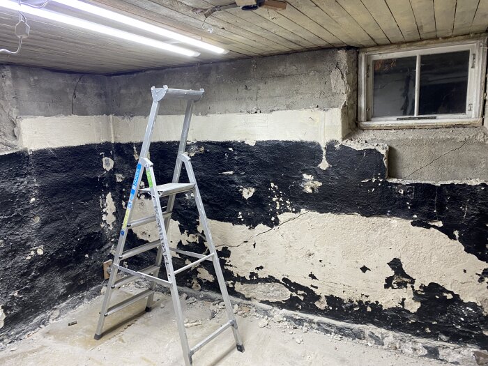 Stege i källare med avskalade väggar; söndrig svartvit puts. Källarfönster lösgjort, tak av träpanel. Förberedelser för byggprojekt.