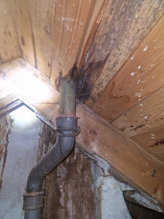Förekomst av fukt och mögel runt rörgenomföring i takkonstruktion, synliga mörka fläckar på träpanelen.