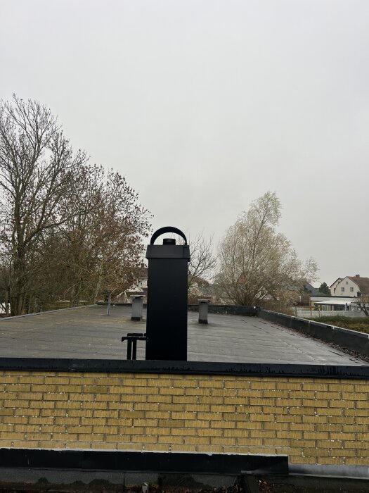 Bild av ett tak med en svart skorsten och ingen skorstenshuv i ett bostadsområde med träd och hus i bakgrunden.