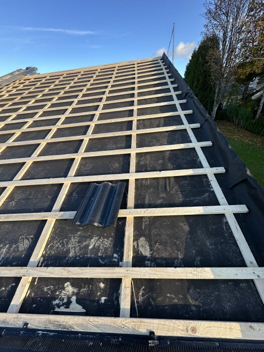 Tak med bärläkt och ströläkt innan riktning, med en ensam takpanna synlig, under en blå himmel.