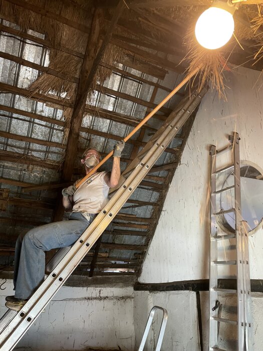 Person arbetar på stege i tak, tar bort strå för renovering; takbjälkar i fokus, strå och smuts synliga, lampa upplyser arbetet.