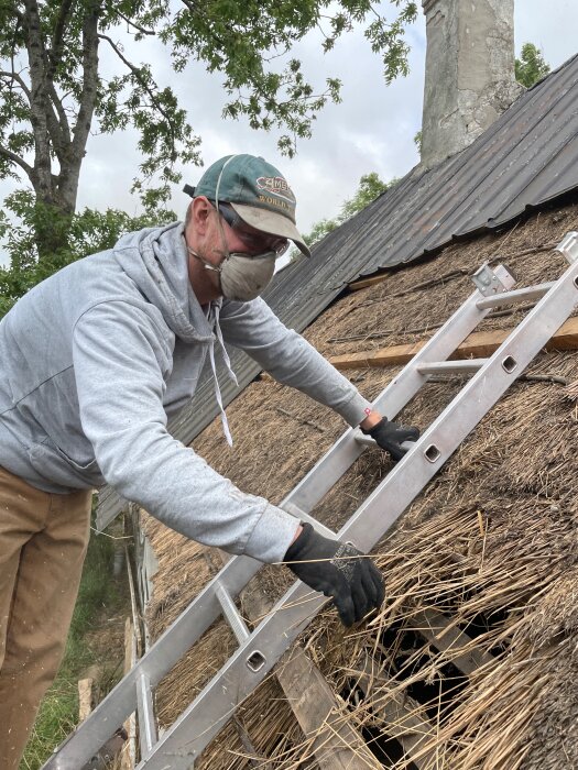 Person på stege som inspekterar gammalt halmtak, iförd skyddsmask och handskar, med ett plåttak i bakgrunden.