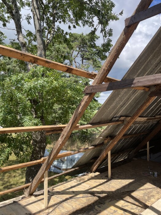 Renovering av tak med träbjälkar och råspont under uppbyggnad, omgivna av träd och klar himmel.