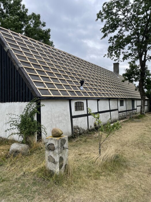 Renoverat svartvitt korsvirkeshus med nytt tak under konstruktion, omgivande gräs och stenar, träd i bakgrunden.