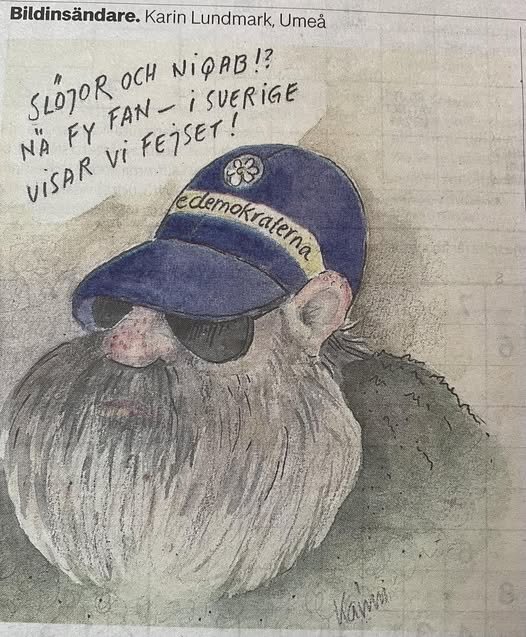 Karikatyr av en person med skägg, solglasögon och keps skriven "demokraterna", textbubbla med kritisk kommentar om slöjor och niqab.