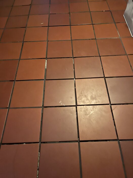 Klinkergolv i källare med lösa plattor och brustna fogar, rengöringssituation, del av diskussion om eventuell renovering och golvproblem.