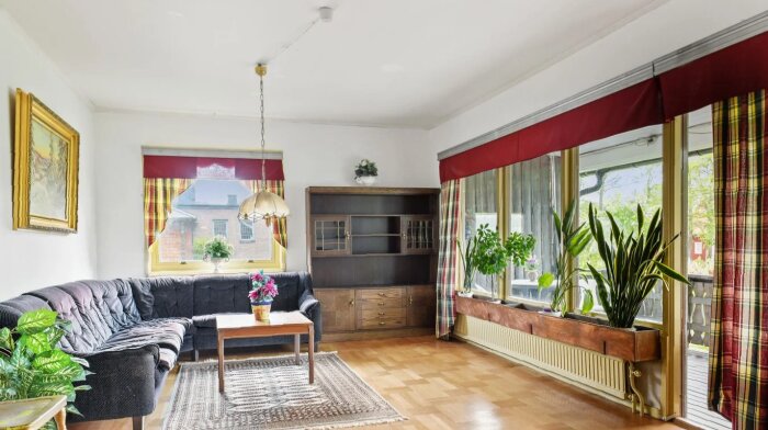 Nyrenoverat vardagsrum med stora fönster, mörk soffa, matta, träbord, bokhylla och gröna växter, sett i dagsljus.