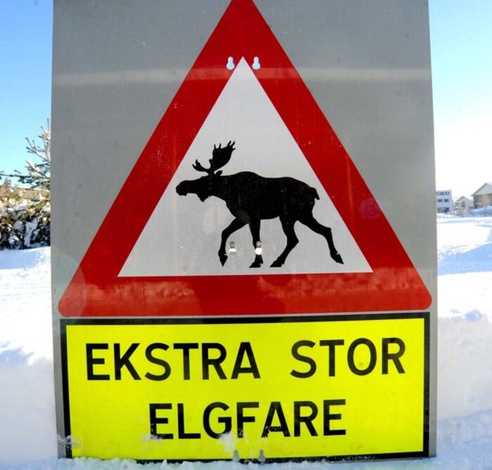 Varningsskylt i Norge med silhuett av en älg och texten "EKSTRA STOR ELGFARE", förvarnar om extra stor älgfare.