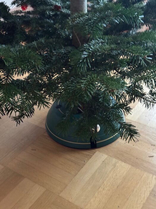 Basen av en julgran stående på ett parkettgolv.