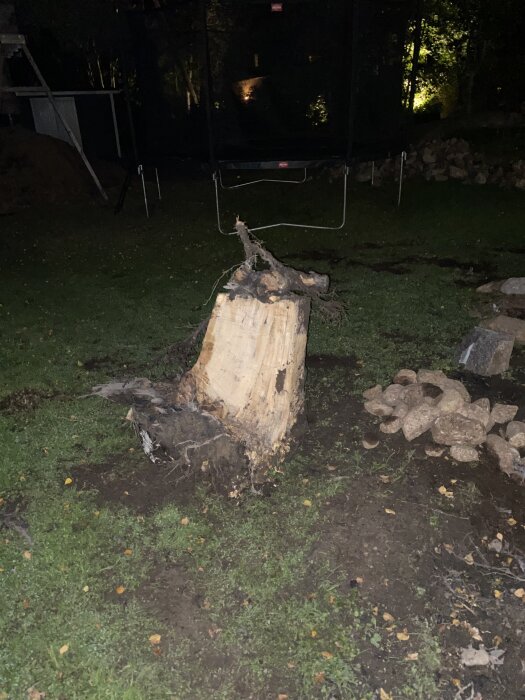 Stubbe i trädgården med avsågade rötter, omgiven av jord och en hög med stenar, delvis upplyst i mörker.