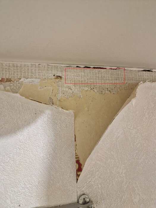 Gipsvägg med borttagen taklist visar blottad yta där kanter är markerade i rött, synlig papp eller tapet som ses ovanför något avslöjad tapet.