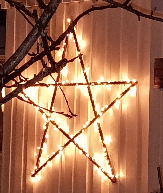 Upplyst femuddig stjärna, pentagram, på väggen med grenar i förgrunden.