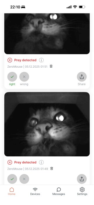 En svartvit bild av en katt med upplysta ögon i mörker, med texten "Prey detected".