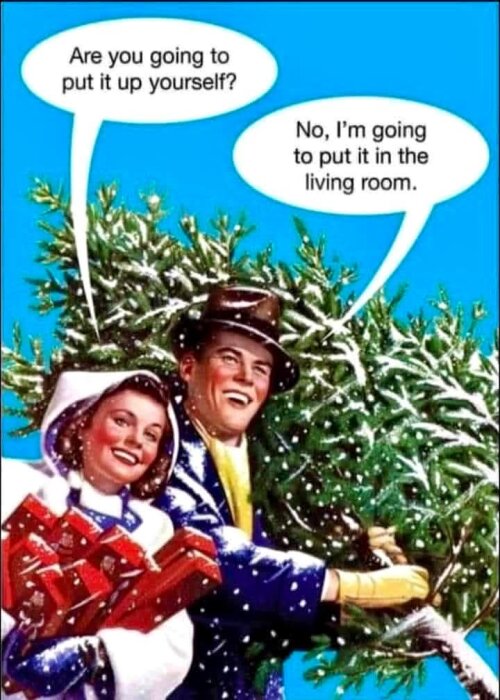 Man bär en snöig julgran och kvinna med paket i snöigt vinterlandskap. Textrutor med humoristisk dialog om att ställa upp granen.