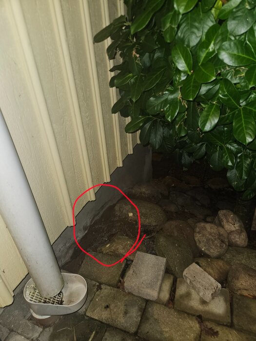 Bild på husgrund med stenar och en buske intill en hängränna; ett område är markerat med rött.