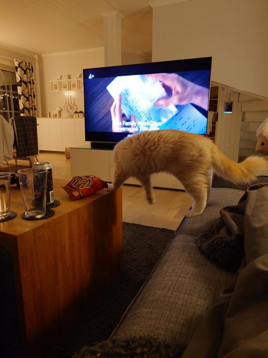 En katt balanserar delvis på soffryggen och ett bord med snacks nära en stor påslagen TV i ett mysigt vardagsrum.