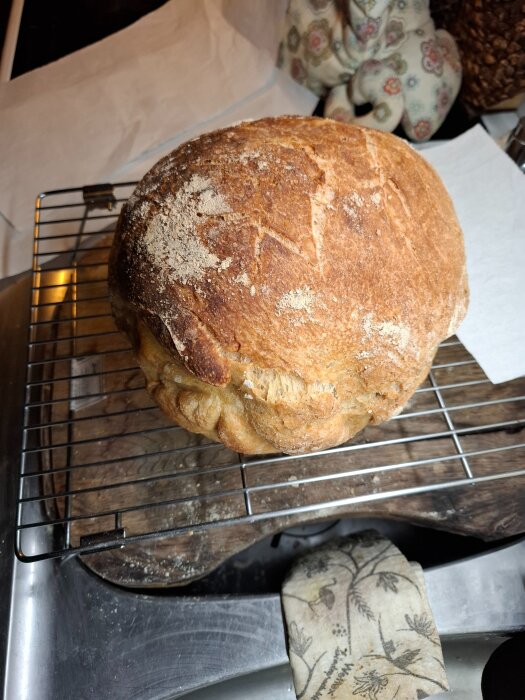 Hemgjord surdegsbröd på galler, nybakat med krispig gyllenbrun skorpa i köksmiljö.
