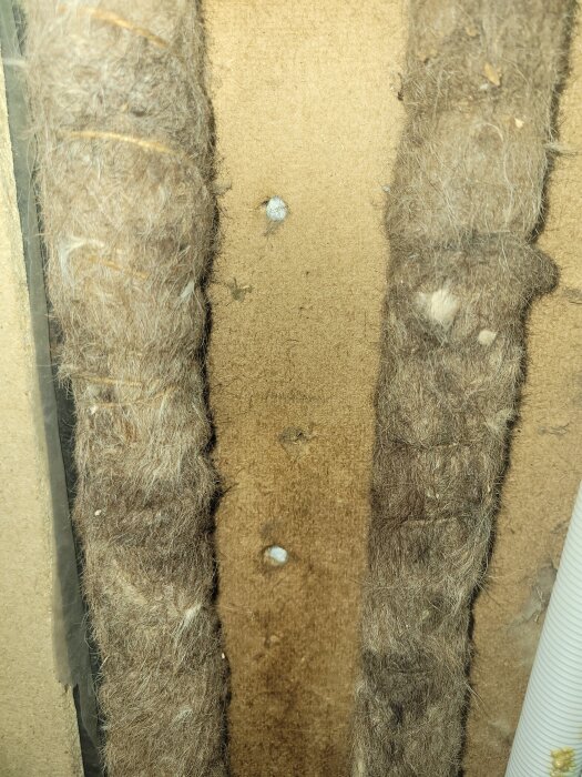 Material i en vägg från ett hus från 1938, kan liknas vid hår, osäkert vad materialet är.