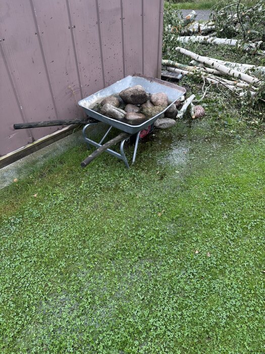 Skottkärra med stenar står på gräsig tomt bredvid en vägg, omgiven av vattenansamlingar och fällda trädstammar.