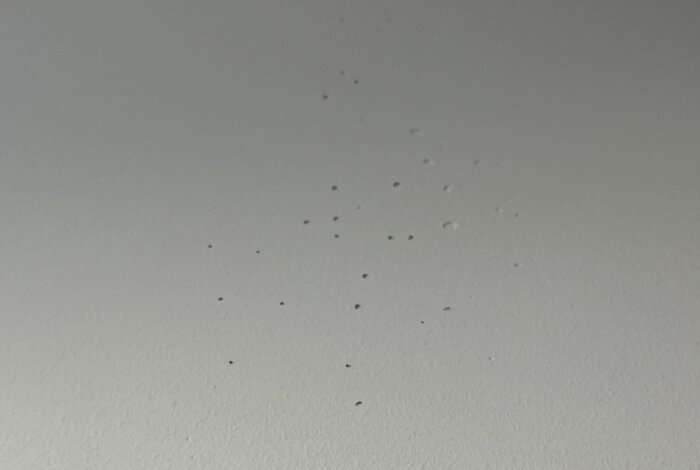 Vägg i hall med ojämnheter, bubblor och knottror efter spackling och första målning, som del av renoveringsprojekt i radhus.