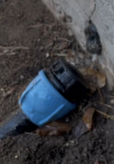 Blå pluggad röranslutning mot en betongvägg, omgiven av jord och löv, indikerar en tidigare avloppspumpinstallation.