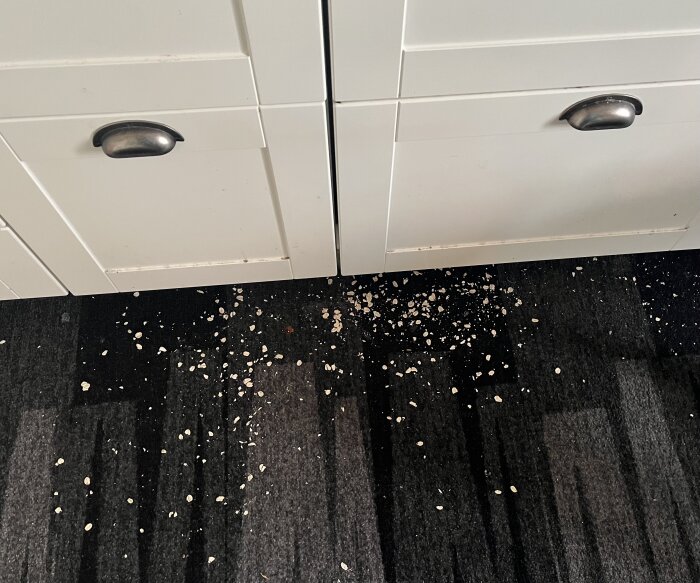 Havregryn utspridda på en mörk matta framför vita kökslådor.