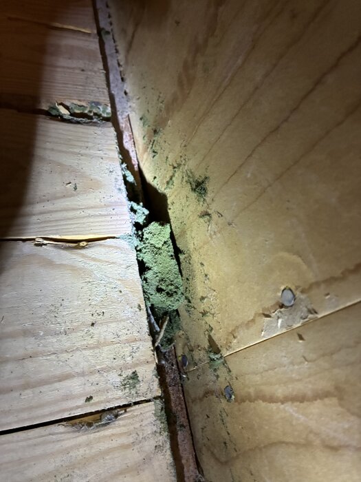 Sprickor i träpanel på kattvinden med grönaktig isolering eller material som ser ut att ha brutits sönder.
