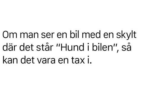 Text med humoristiskt ordskämt om en bilskylt som säger "Hund i bilen" och syftar på att det kan vara en tax i bilen.