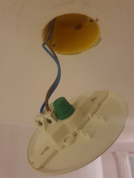 Takmonterad lampsockel med synliga elkablar i blått och brunt, anslutna till grön kopplingspunkt.