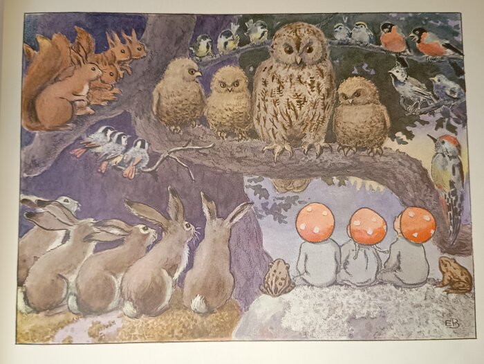 Illustration av djur och natur med ugglor, ekorrar, kaniner, fåglar och svamptomtar från Elsa Beskow.