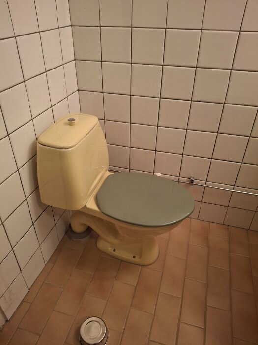 20251210_185129.jpg