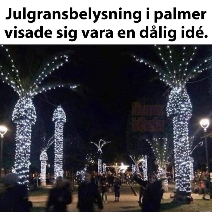 Palmer täckta med julgransbelysning i en park på natten, vilket skapar en humoristisk effekt.