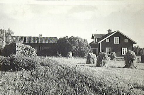 Ett gammalt rött trähus med vita knutar och en lada i bakgrunden, omgivet av åker och höstackar, troligen från 1940-talet.