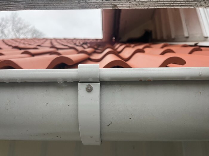 Närbild av en vit hängränna monterad på ett hus med rött tegeltak.