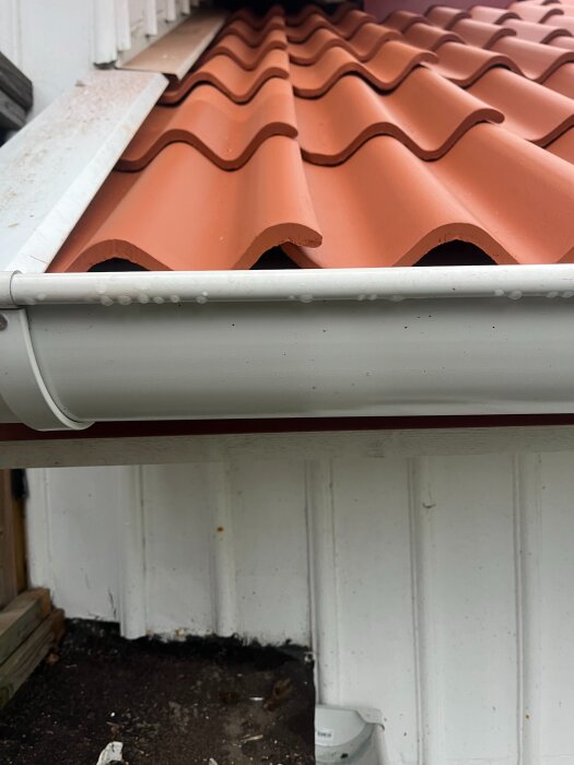 Rött tak med tegelpannor och vit hängränna på ett hus.