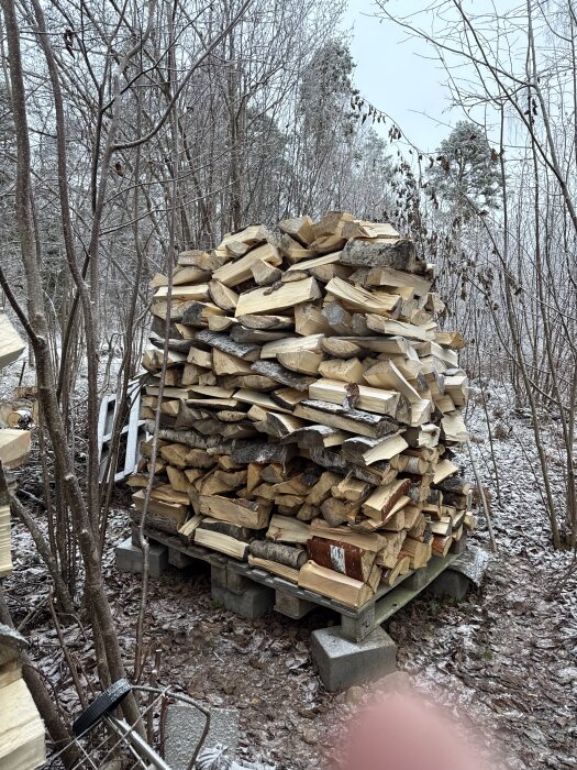 Vedstapel på en pall utomhus i en vinterträdgård, omgiven av snötäckta buskar och träd.
