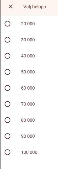 Välj belopp" med alternativ från 20 000 till 100 000 kronor, markerade med radioknappar.