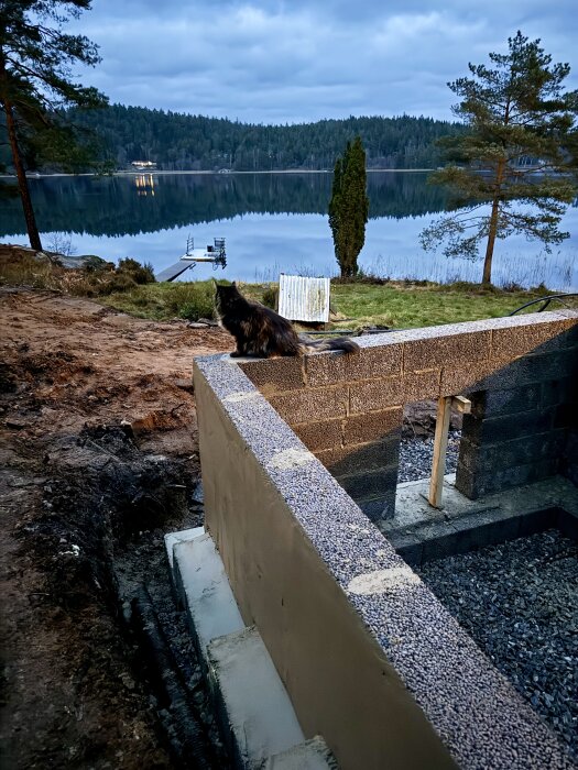 Katt sitter på grundmur vid vatten och tittar ut mot sjön, omgiven av träd och natur. Grunden syns i förgrunden, bygget sker på sluttande tomt.