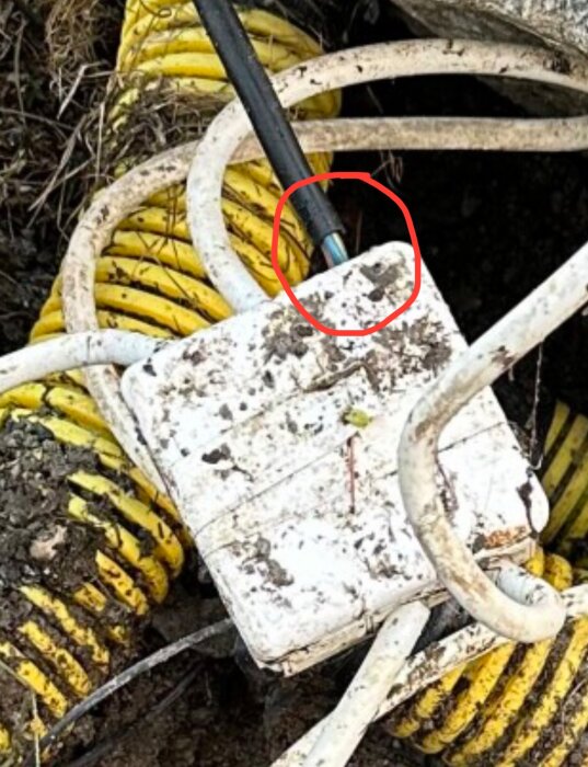 Svart kabel utan ytterisolering i en vit kopplingsdosa, omgiven av jord och gula spiralslangar. Röd cirkel markerar en del av kopplingen.