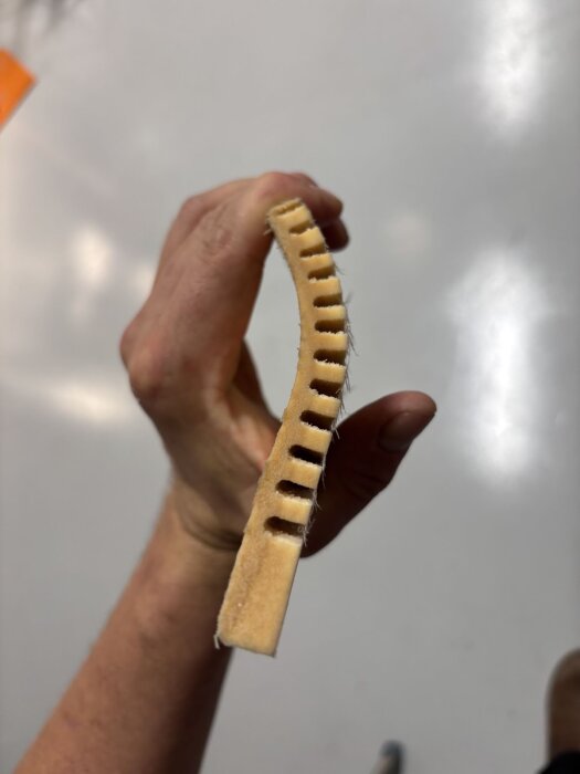 Böjd träbit med frästa spår på baksidan hålls upp av en hand.