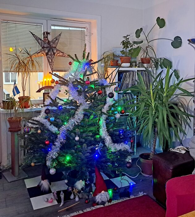 Julgran dekorerad med färgglada lampor, glitter och kulor placerad framför ett fönster med växter runtomkring.