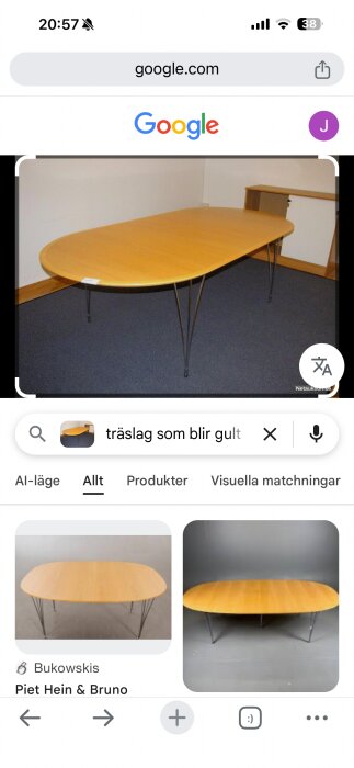 Ovalt träbord med metallben i ett rum.