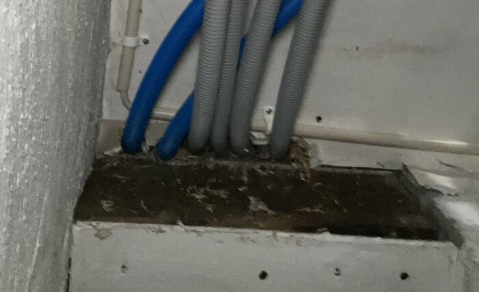 Rörsystem i en källare, sett framifrån. Blå och grå korrugerade rör syns tydligt mot väggen.