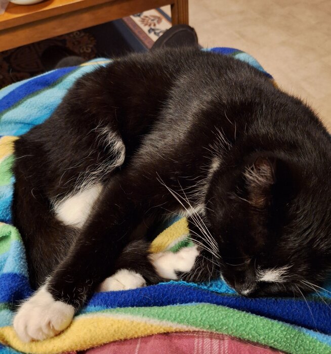 Svart och vit katt sover på en färgglad filt i ett hem, med ett träbord synligt i bakgrunden.