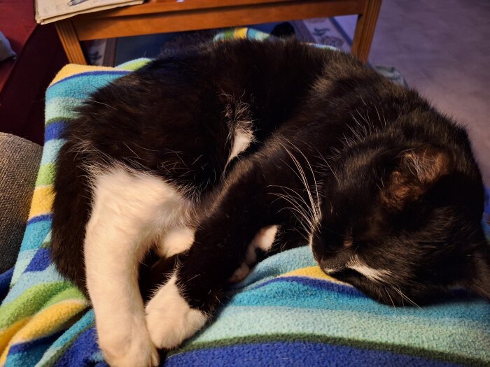 Svart och vit katt sover ihoprullad på en randig filt i blått, grönt och gult, liggande på en soffa.